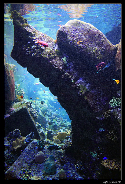 2012 - 06 - Dubai - 010